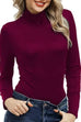 Mixiedress Turtleneck Long Sleeves Basic Bottoming Shirt