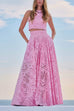 Mixiedress Lace Hollow Out Crewneck Crop Tank Top High Waist Maxi Swing Skirt Set